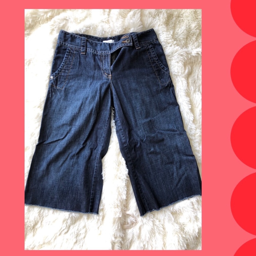 Ann Taylor Loft capri